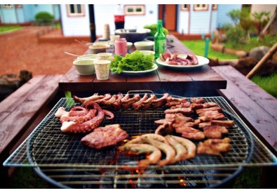 BBQ Party